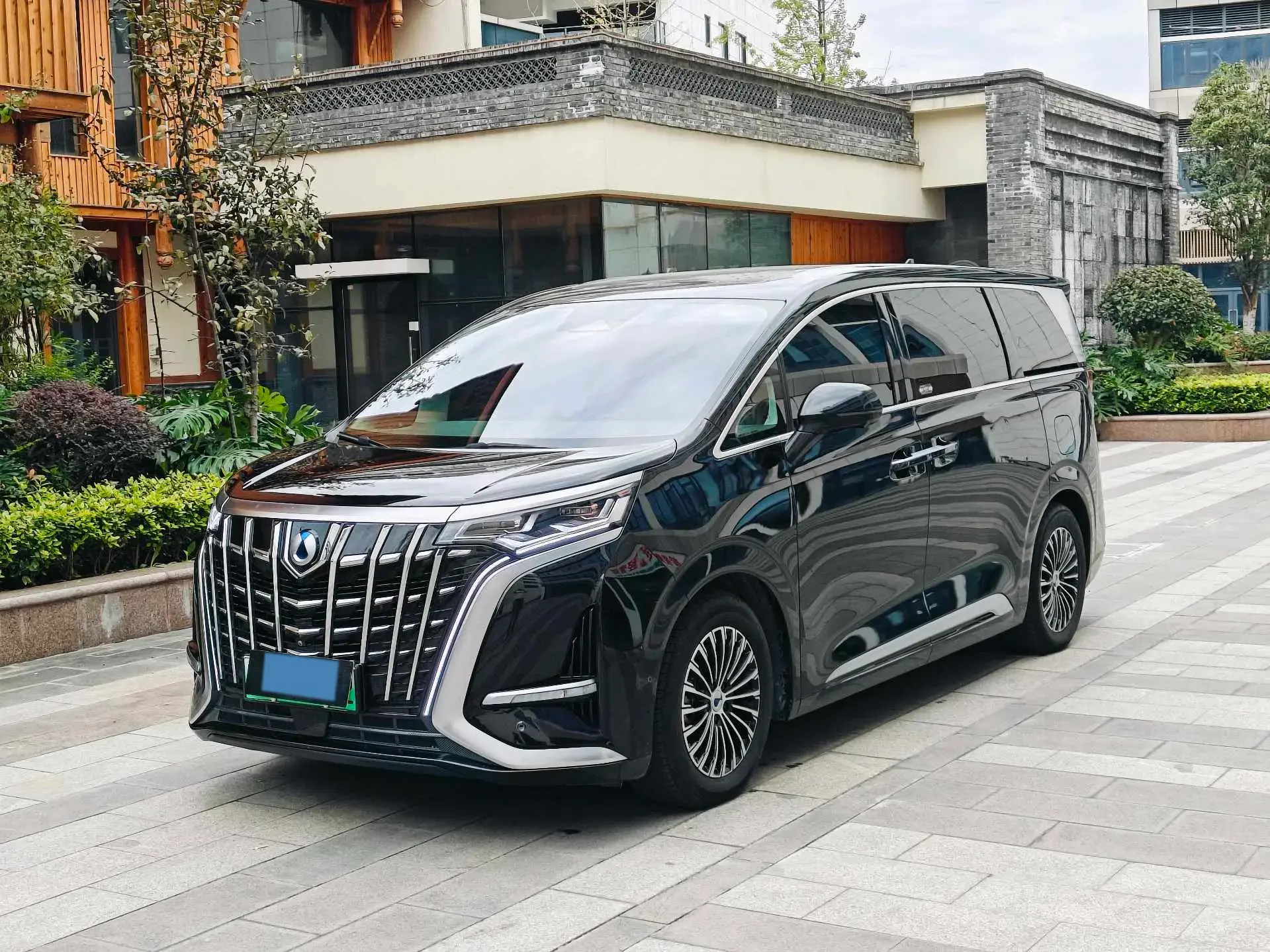 2022 DENZA D9 view 1