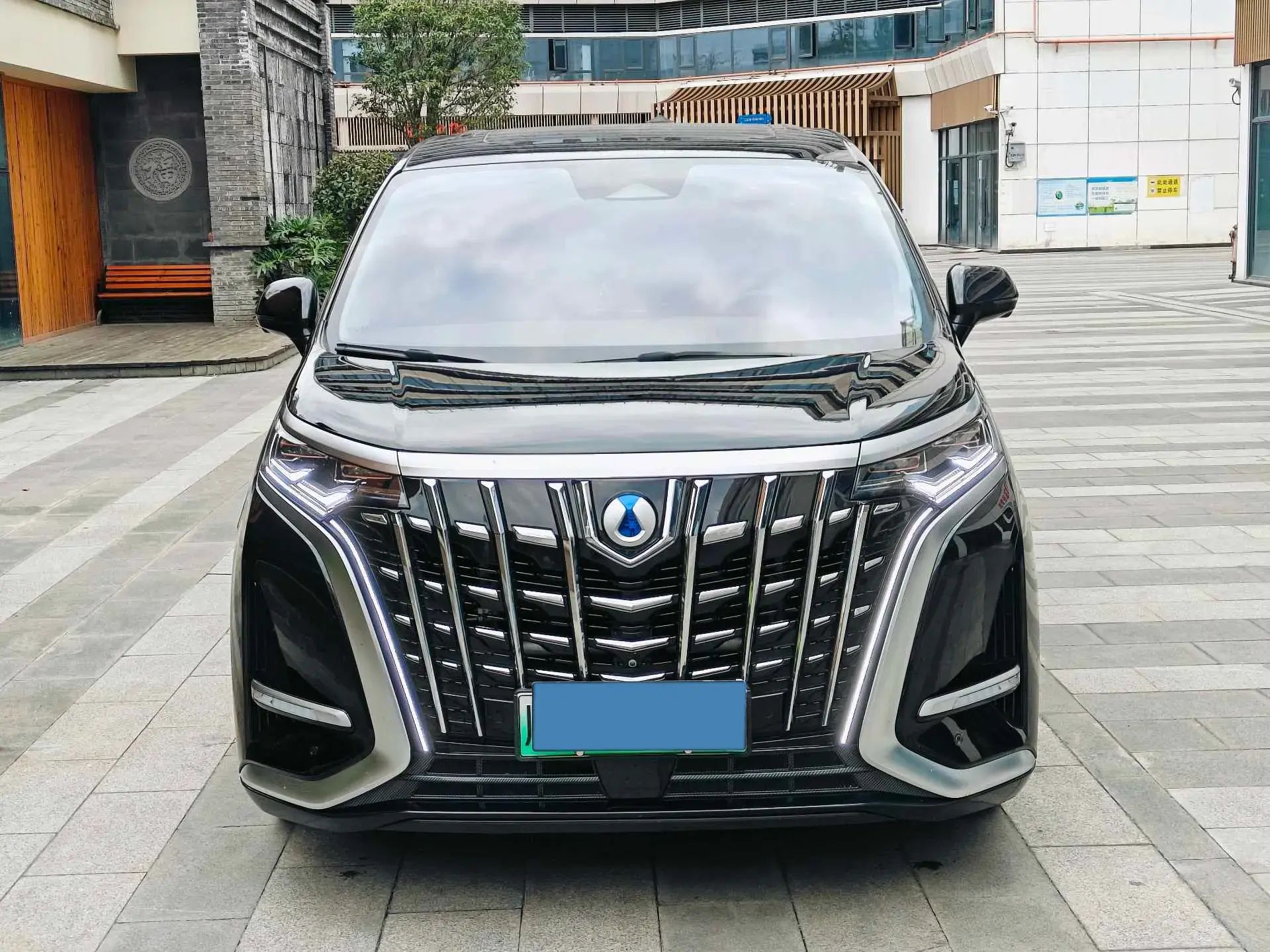 2022 DENZA D9 thumbnail 2