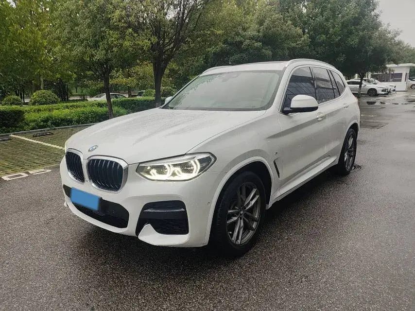 2021 BMW X3 view 1