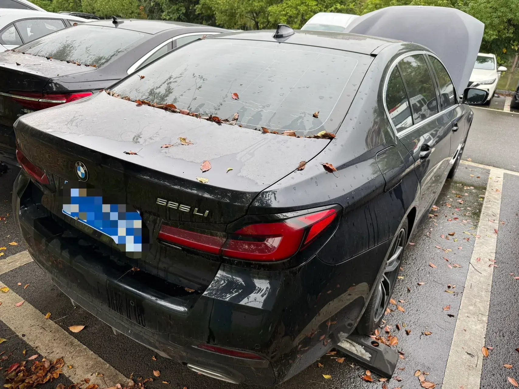 2021 BMW 5 thumbnail 2