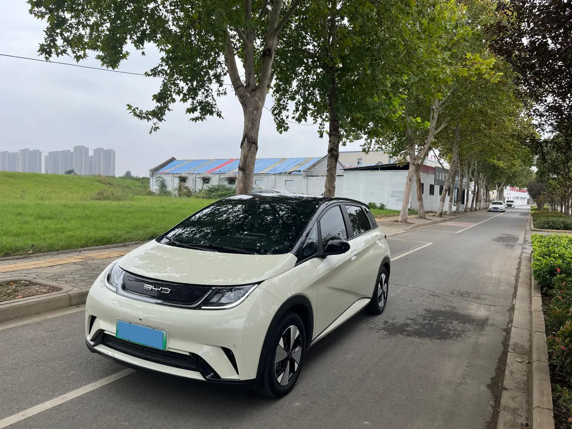 2023 BYD DOLPHIN view 1