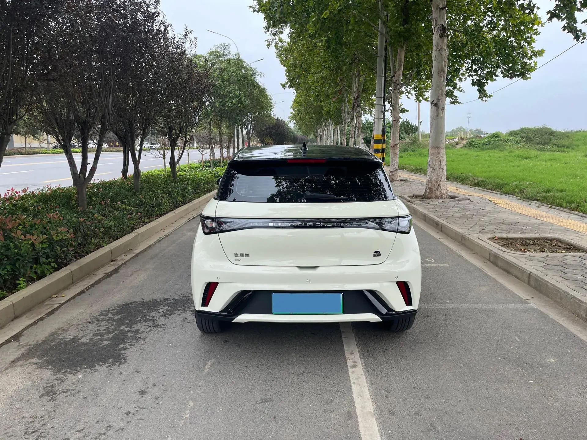 2023 BYD DOLPHIN thumbnail 4