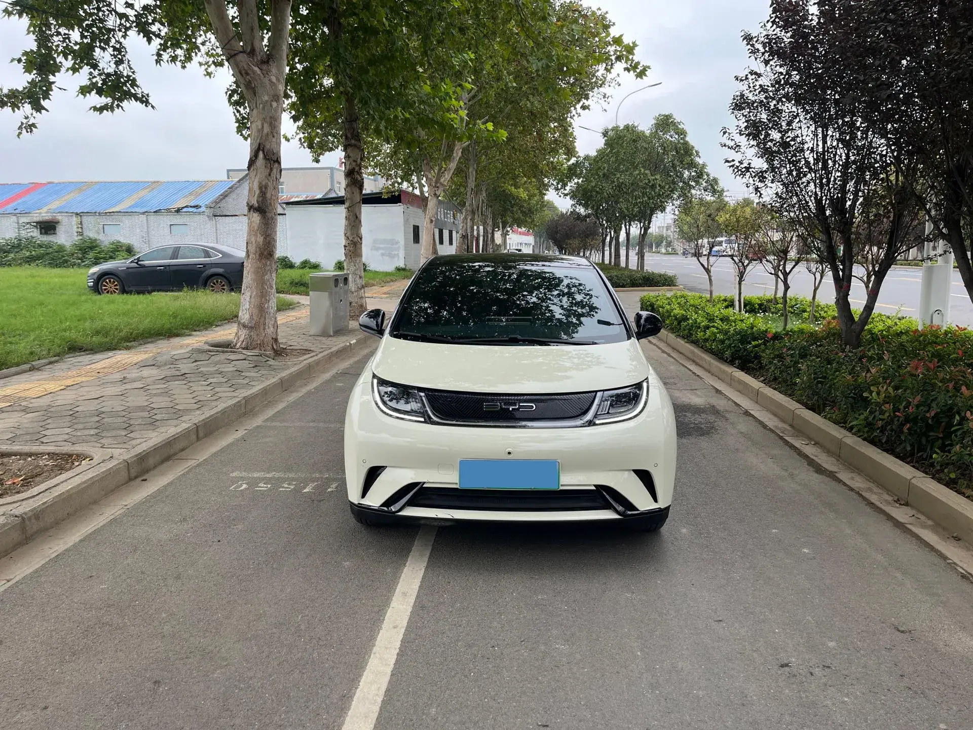 2023 BYD DOLPHIN thumbnail 2