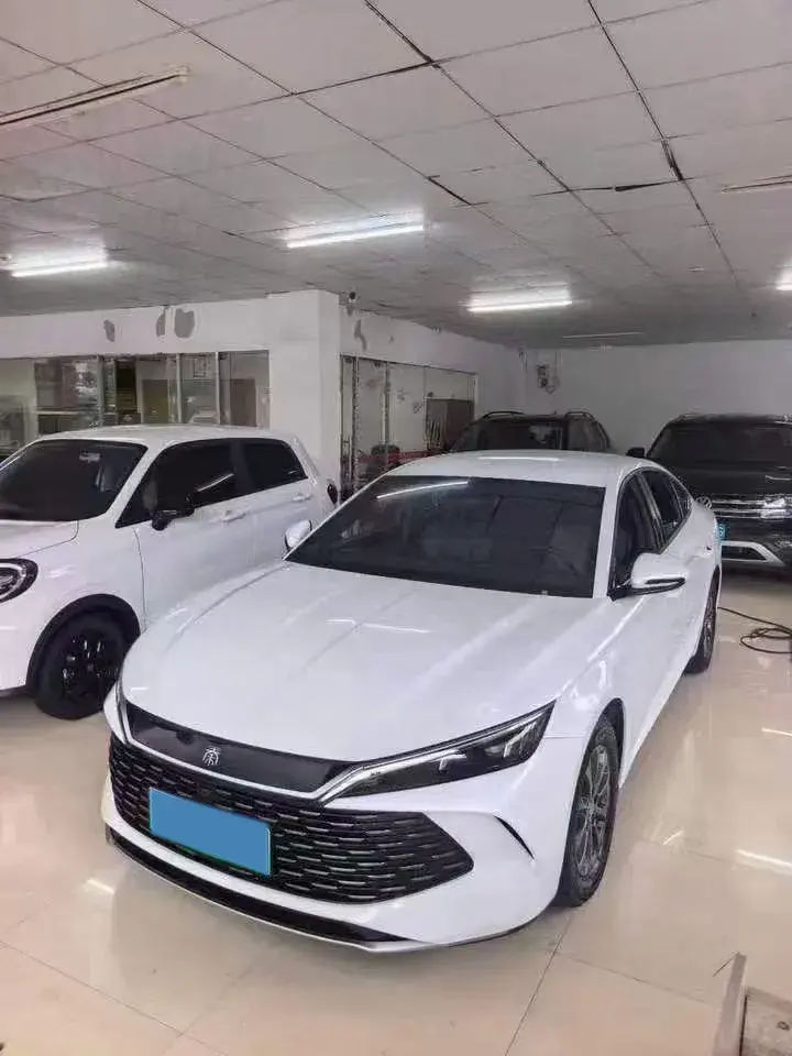 2024 BYD QINL view 1