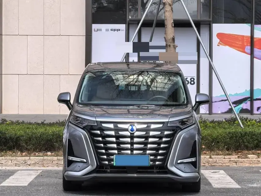 2022 DENZA D9 thumbnail 2