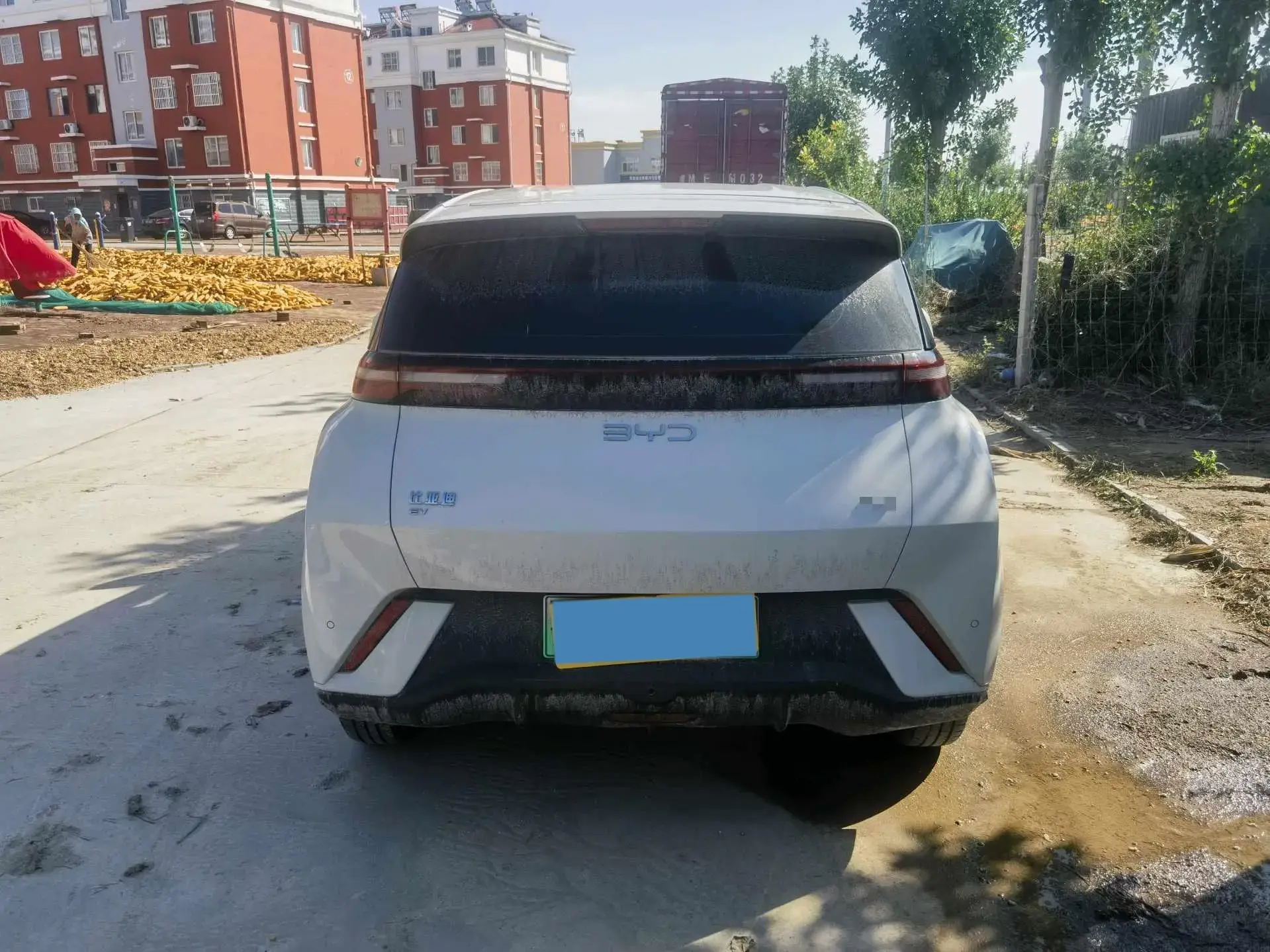 2025 BYD SEAGULL thumbnail 4