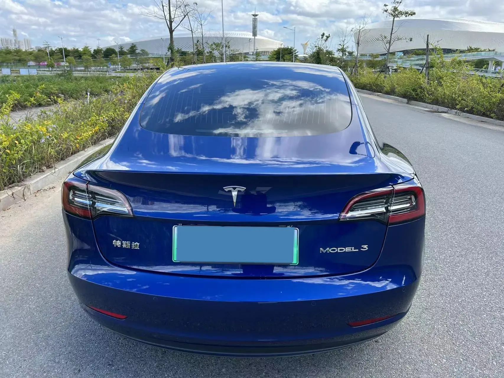 2020 TESLA MODEL thumbnail 4