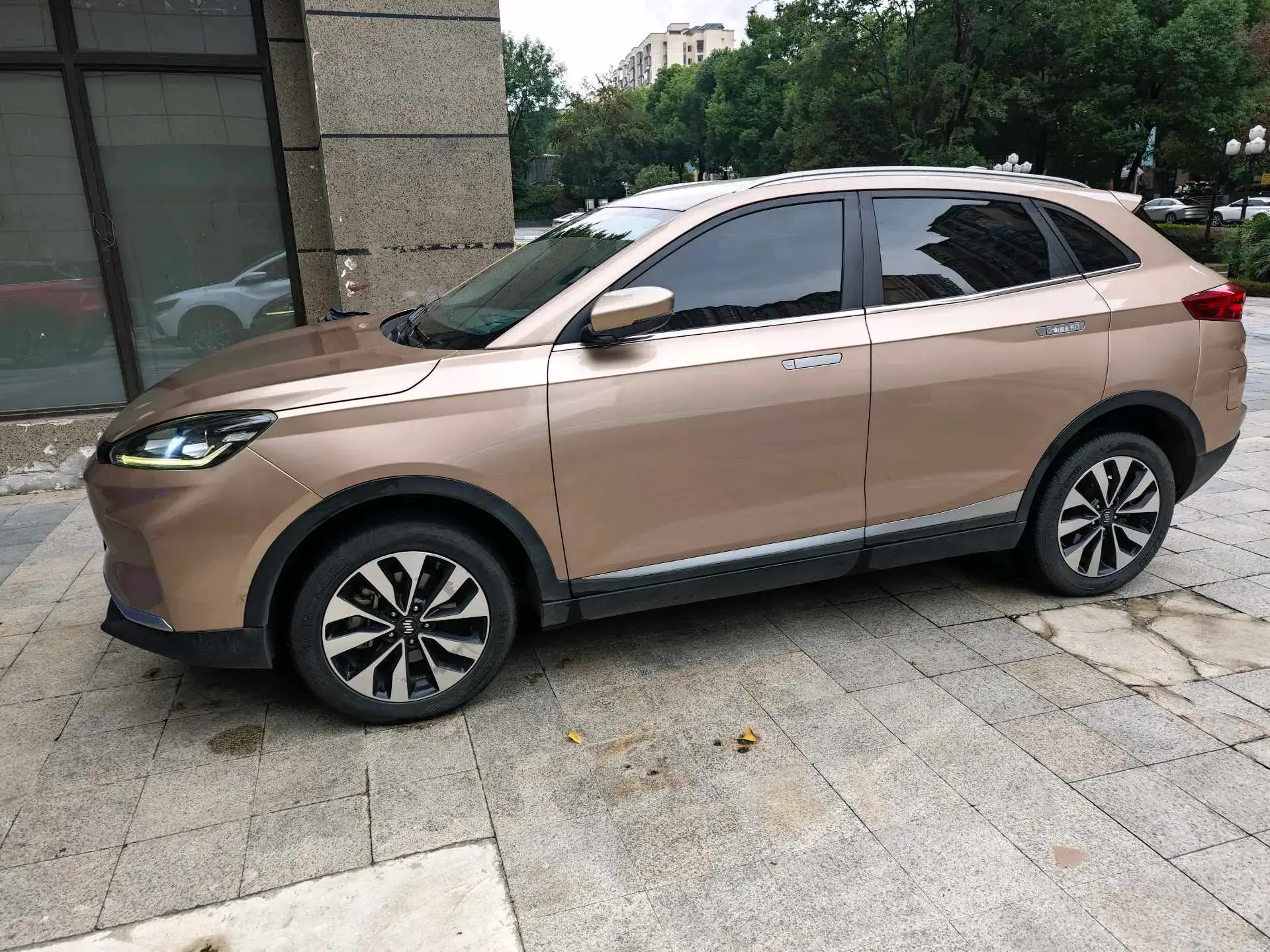 2018 WELTMEISTER EX5 thumbnail 4