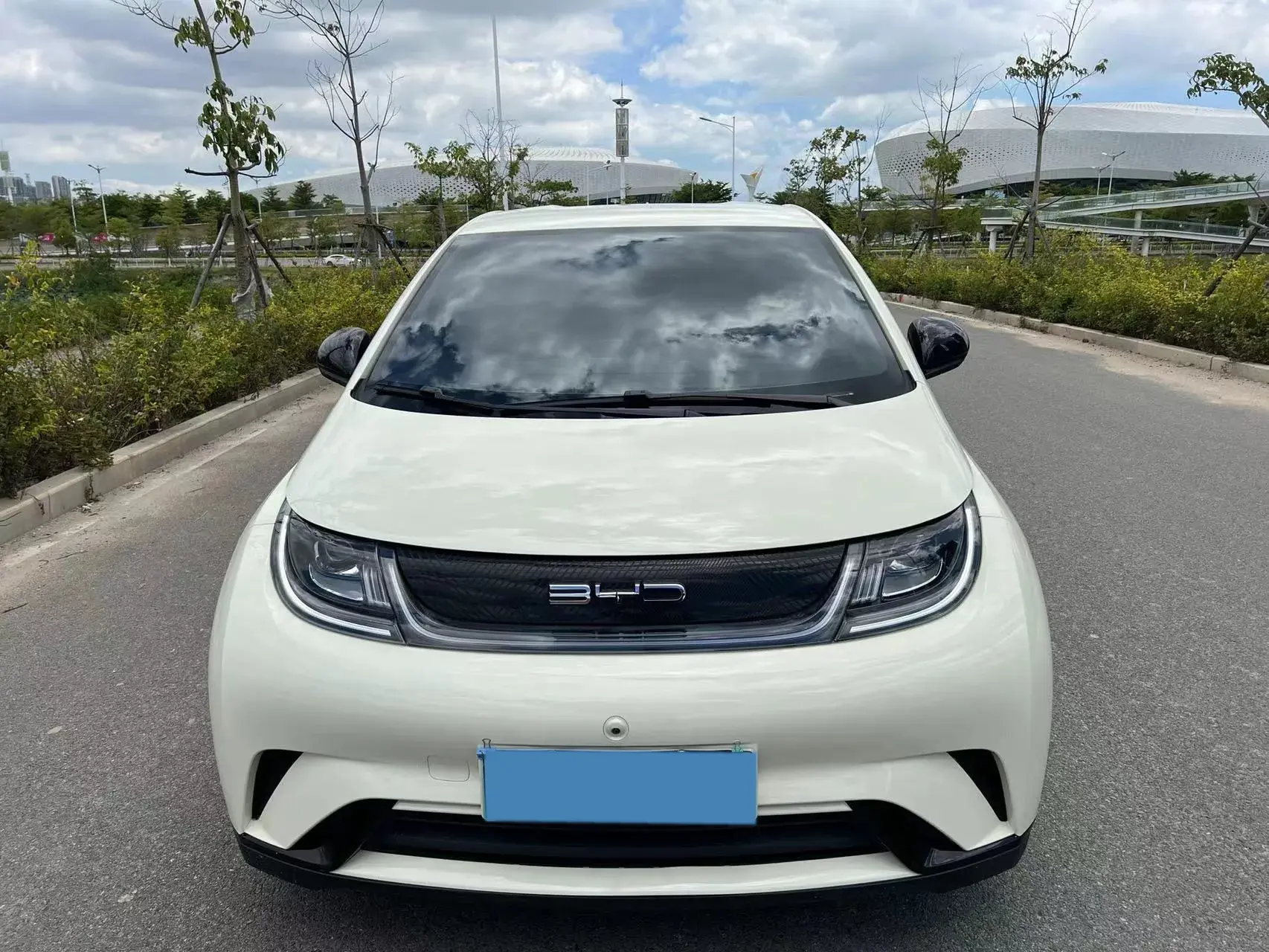 2023 BYD DOLPHIN thumbnail 2