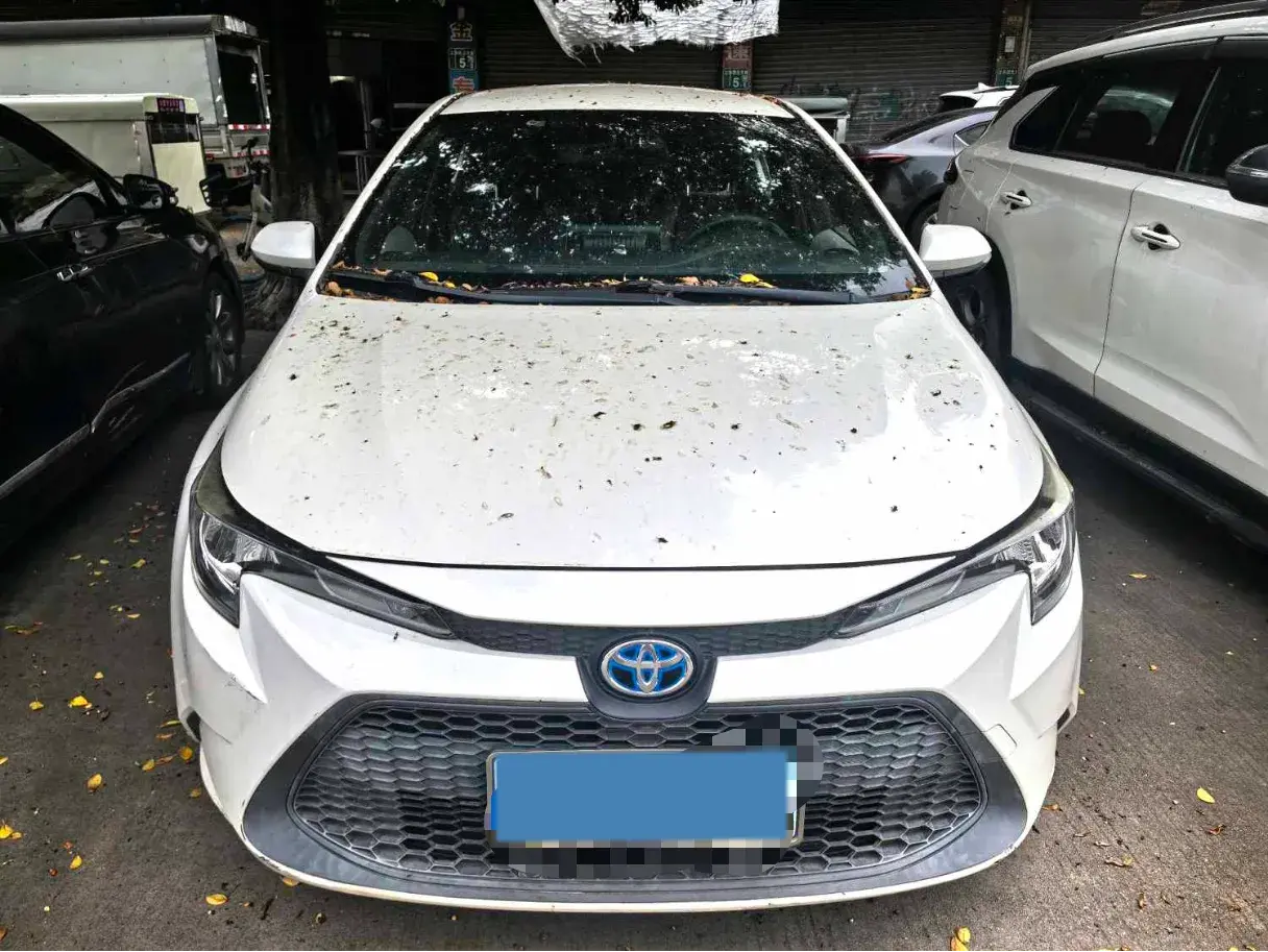 2019 TOYOTA LEVIN thumbnail 2