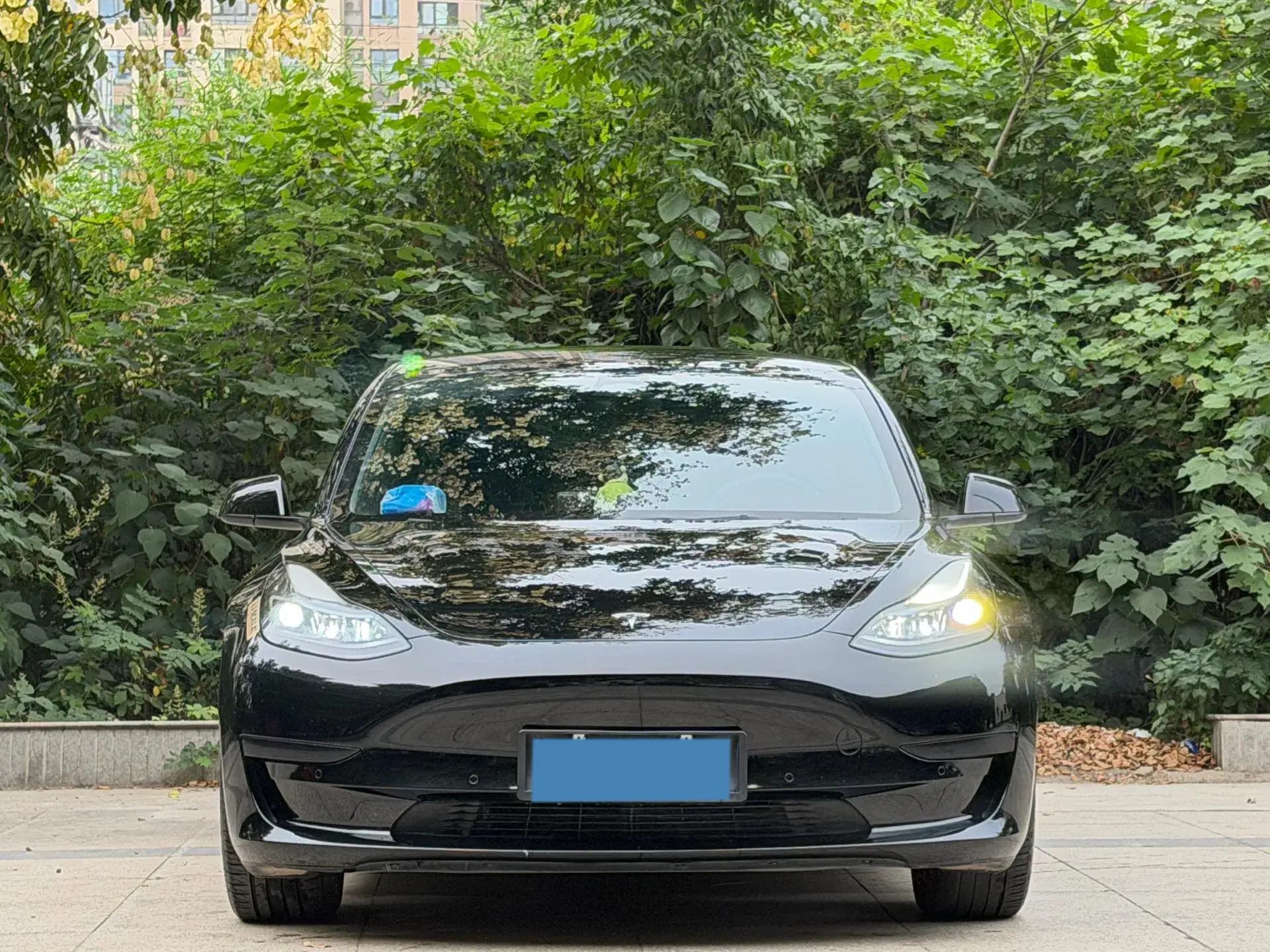 2022 TESLA MODEL thumbnail 2