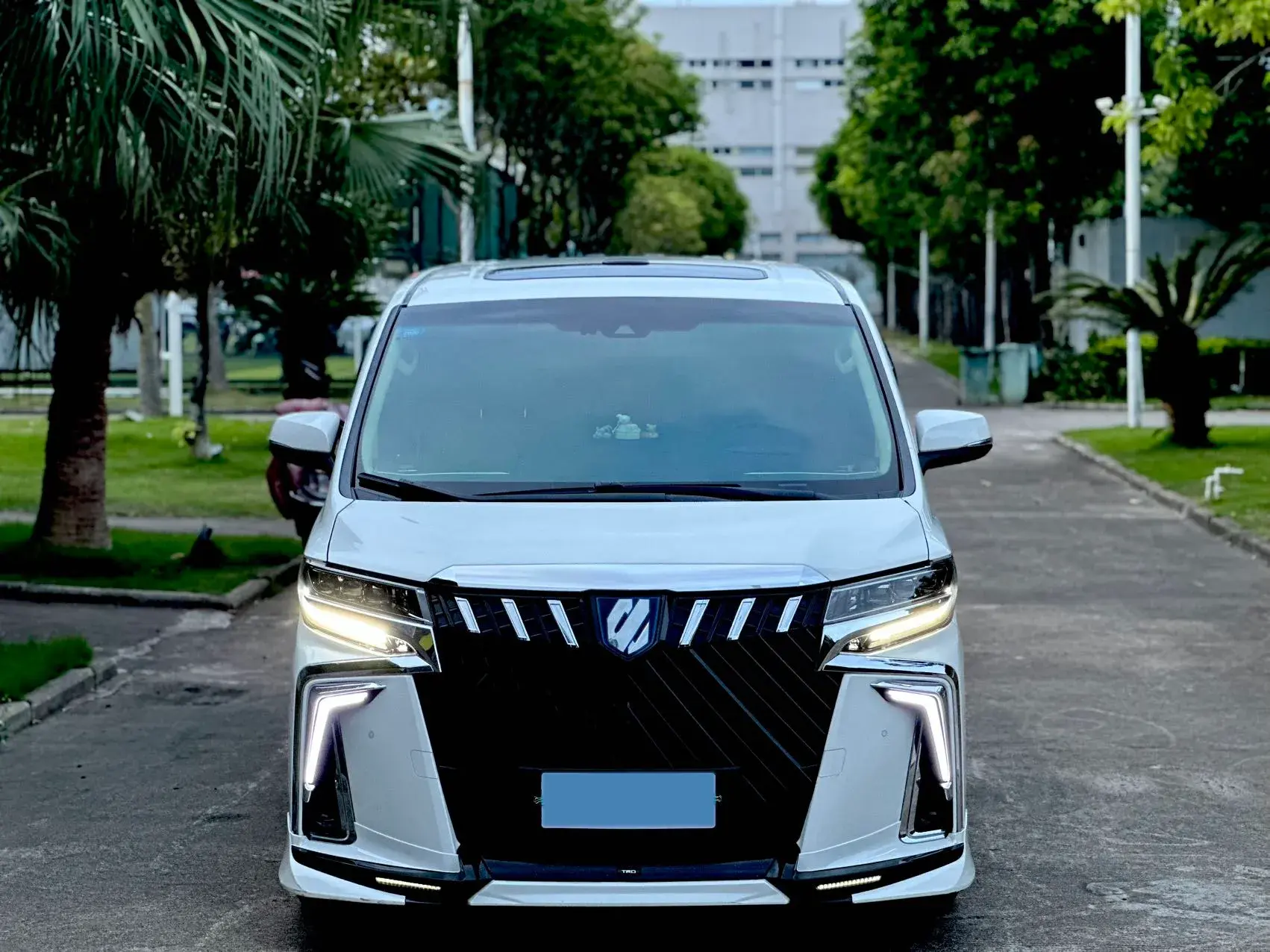 2019 TOYOTA ALPHARD thumbnail 2