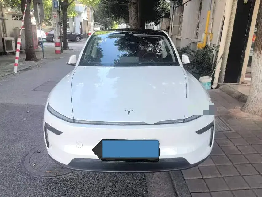 2025 TESLA MODEL thumbnail 2