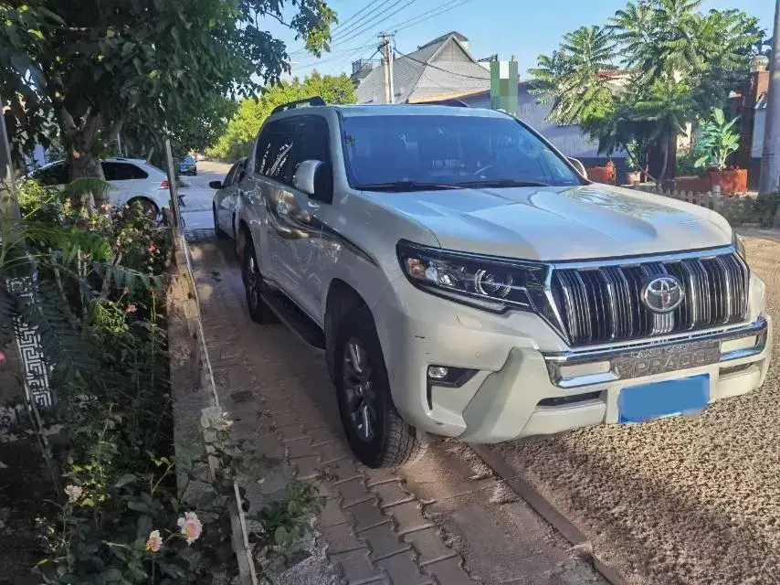 2019 TOYOTA LAND thumbnail 3