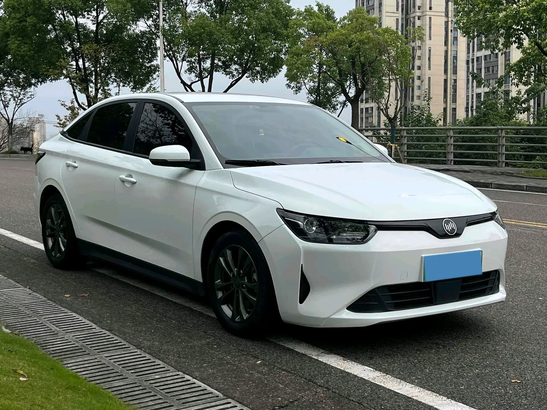 2021 WELTMEISTER E.5 thumbnail 3