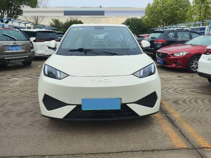 2025 BYD SEAGULL thumbnail 2