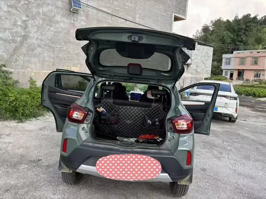 2022 DONGFENG NAMMI thumbnail 4