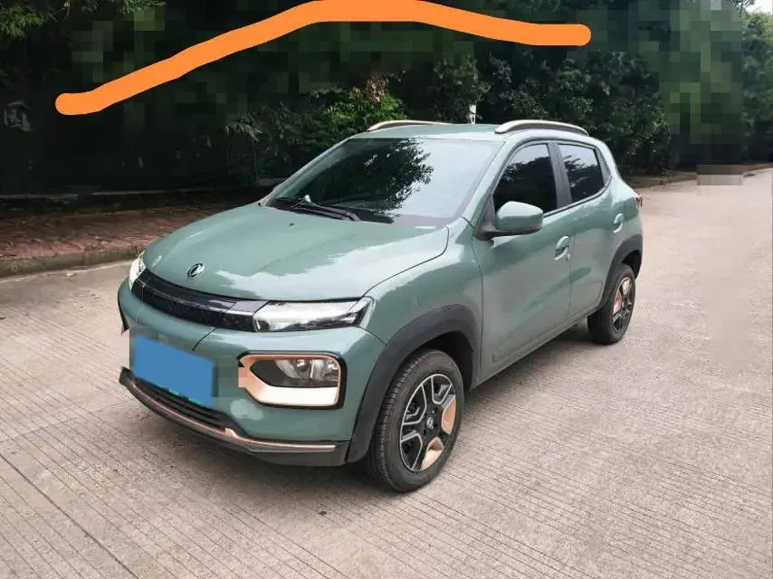 2022 DONGFENG NAMMI view 1