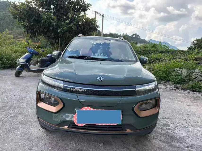 2022 DONGFENG NAMMI thumbnail 2