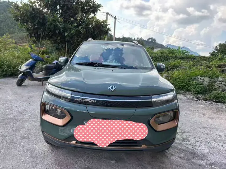 2022 DONGFENG NAMMI thumbnail 3