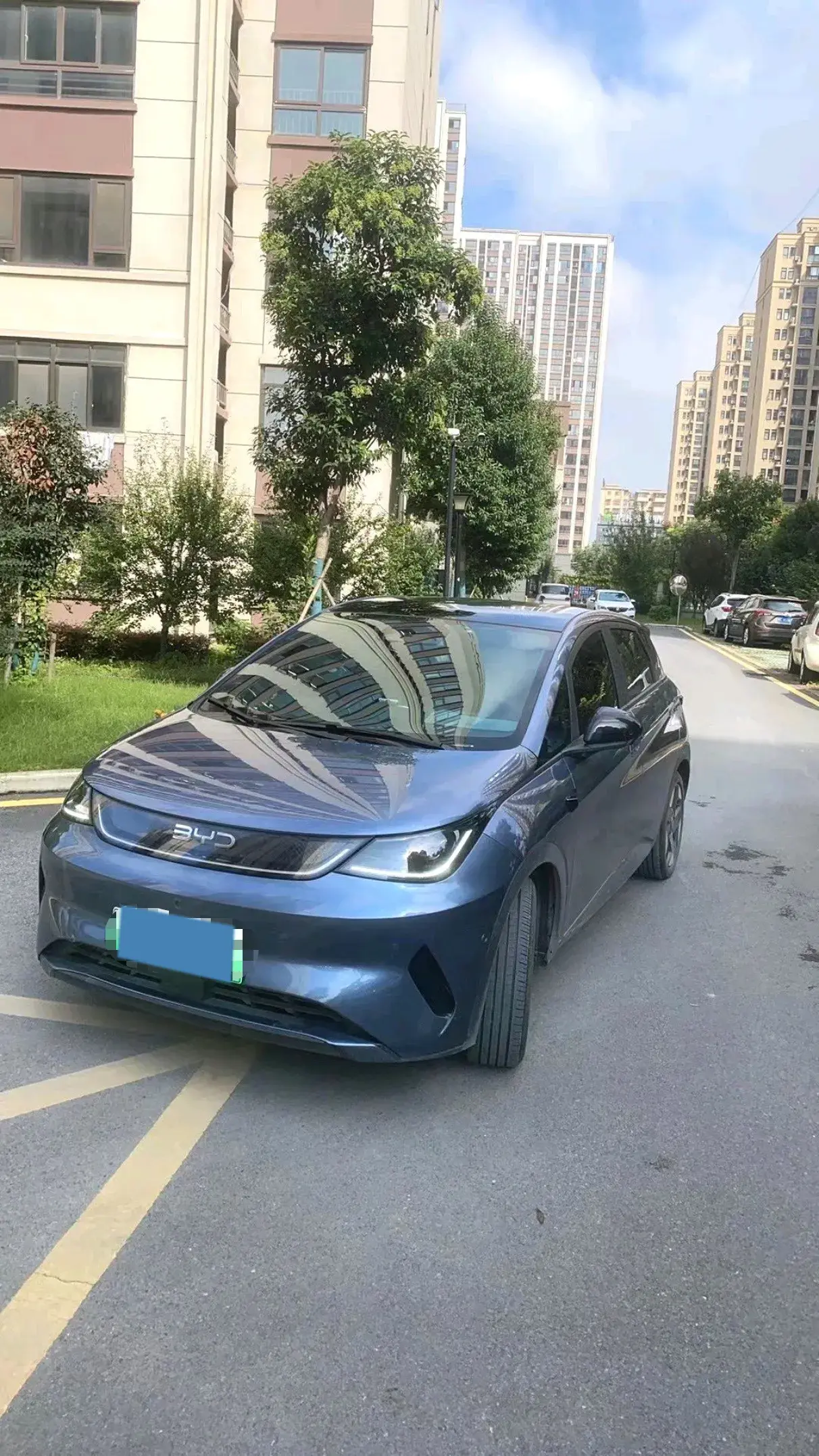 2025 BYD DOLPHIN view 1