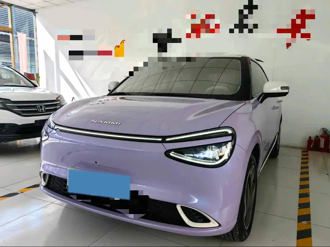 2024 DONGFENG NAMMI view 1