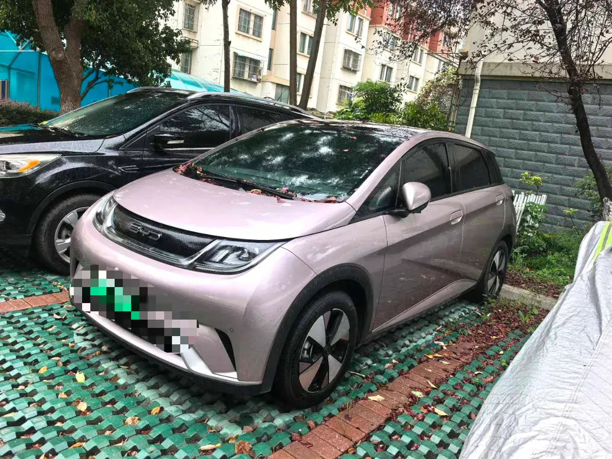 2023 BYD DOLPHIN view 1