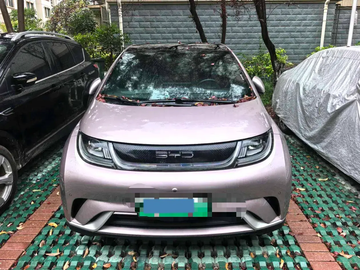 2023 BYD DOLPHIN thumbnail 2