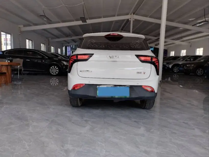 2021 NETA V thumbnail 3