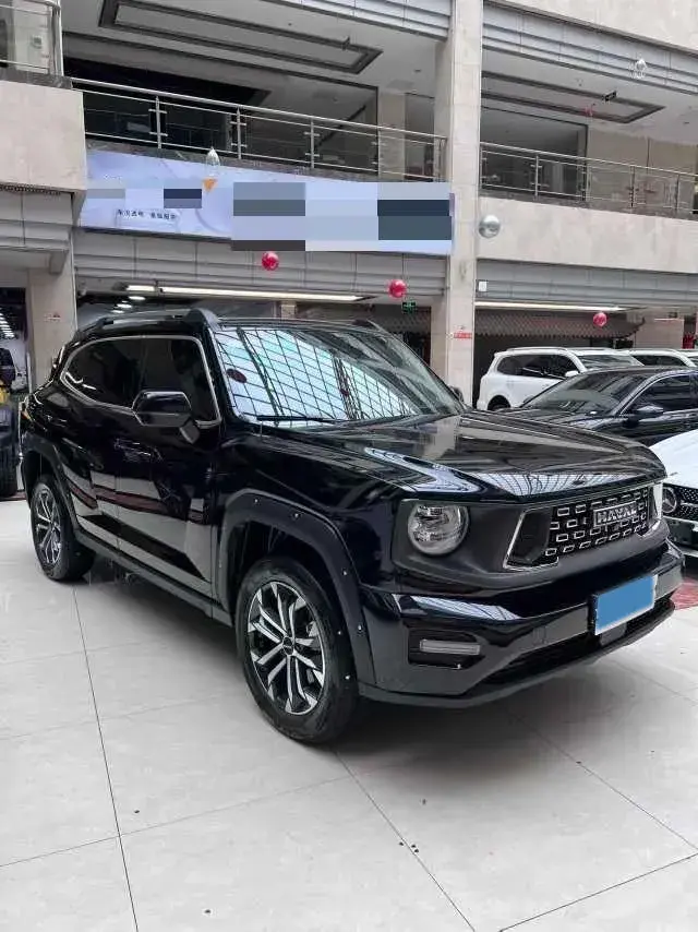 2023 HAVAL DARGO thumbnail 2