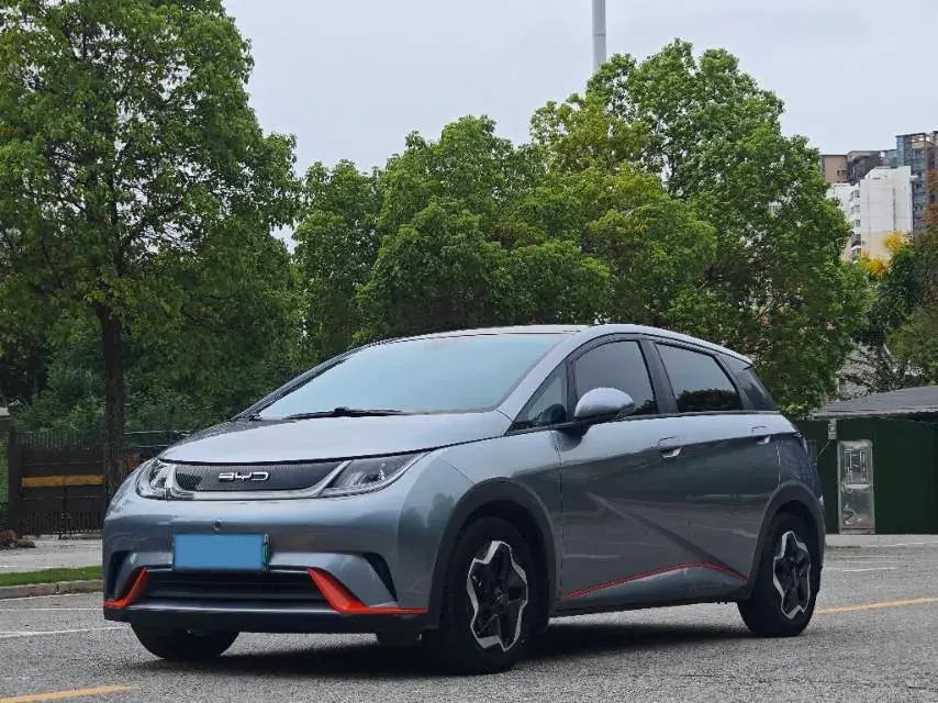 2021 BYD DOLPHIN view 1