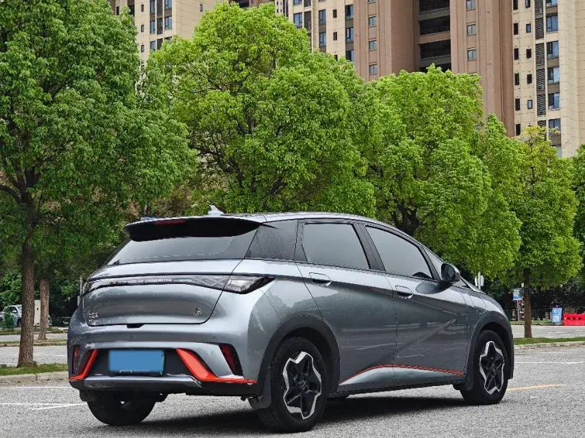 2021 BYD DOLPHIN thumbnail 4