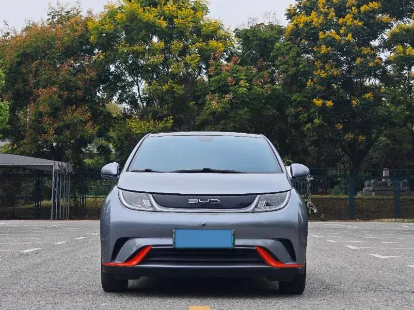 2021 BYD DOLPHIN thumbnail 2