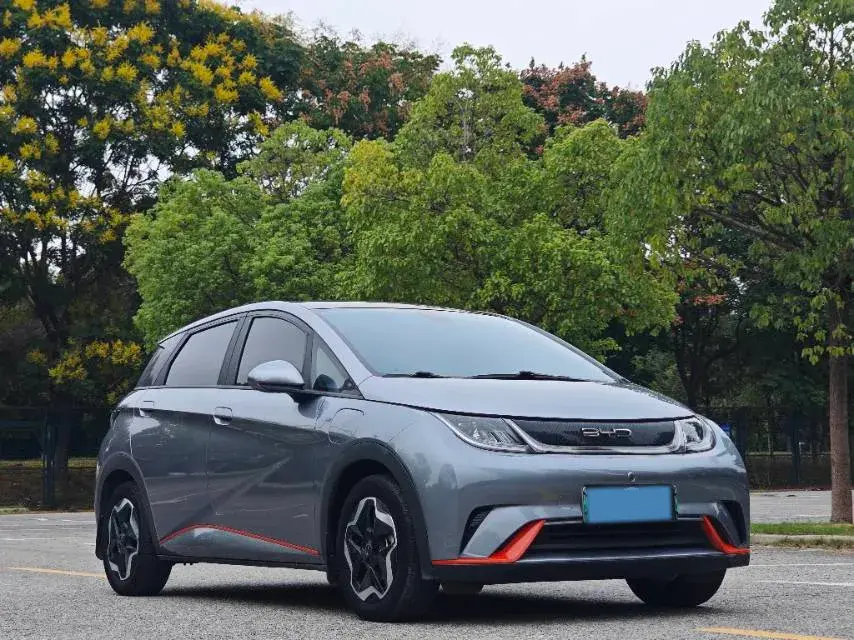 2021 BYD DOLPHIN thumbnail 3