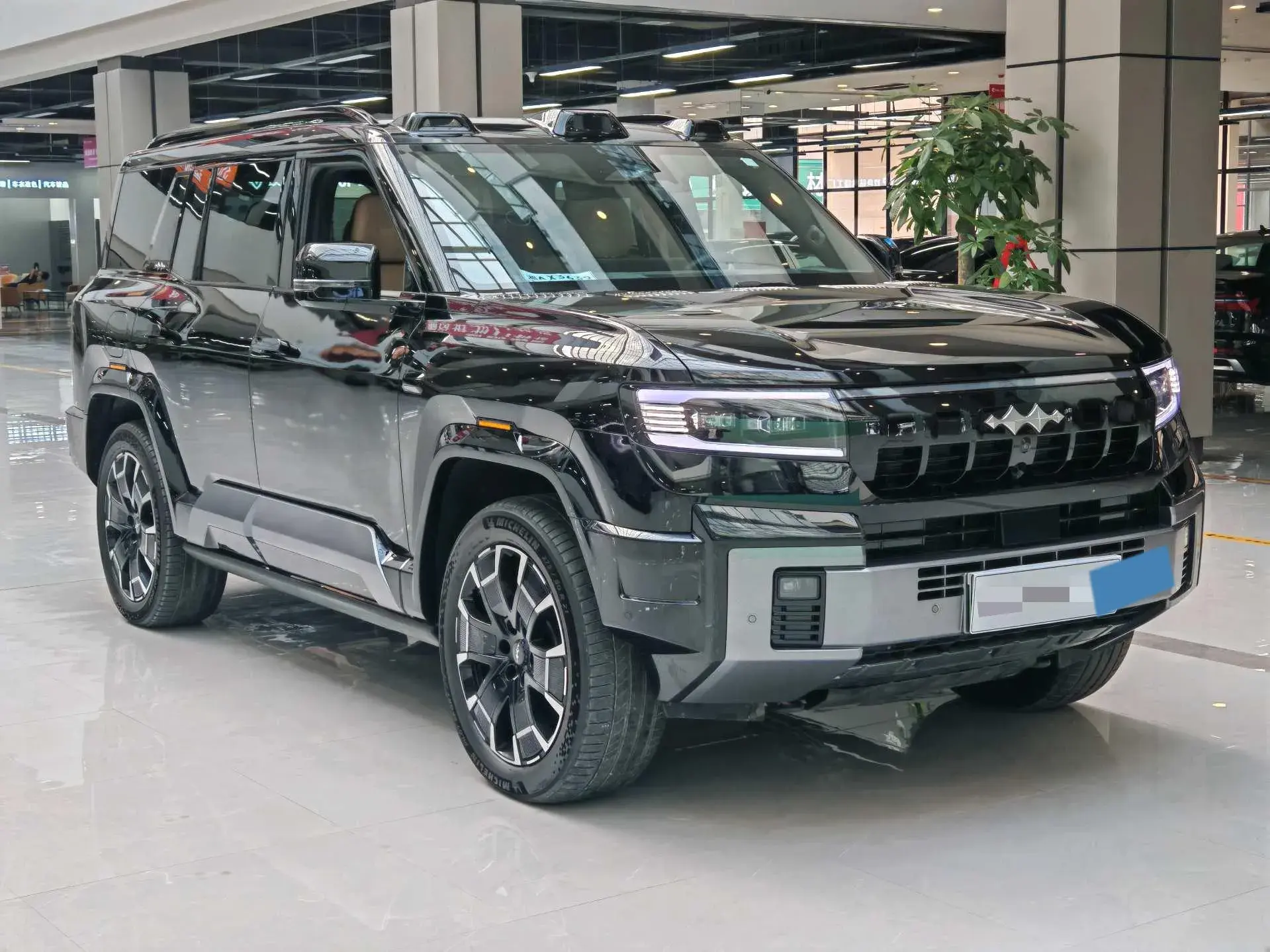 2025 FANGCHENGBAO BAO thumbnail 3