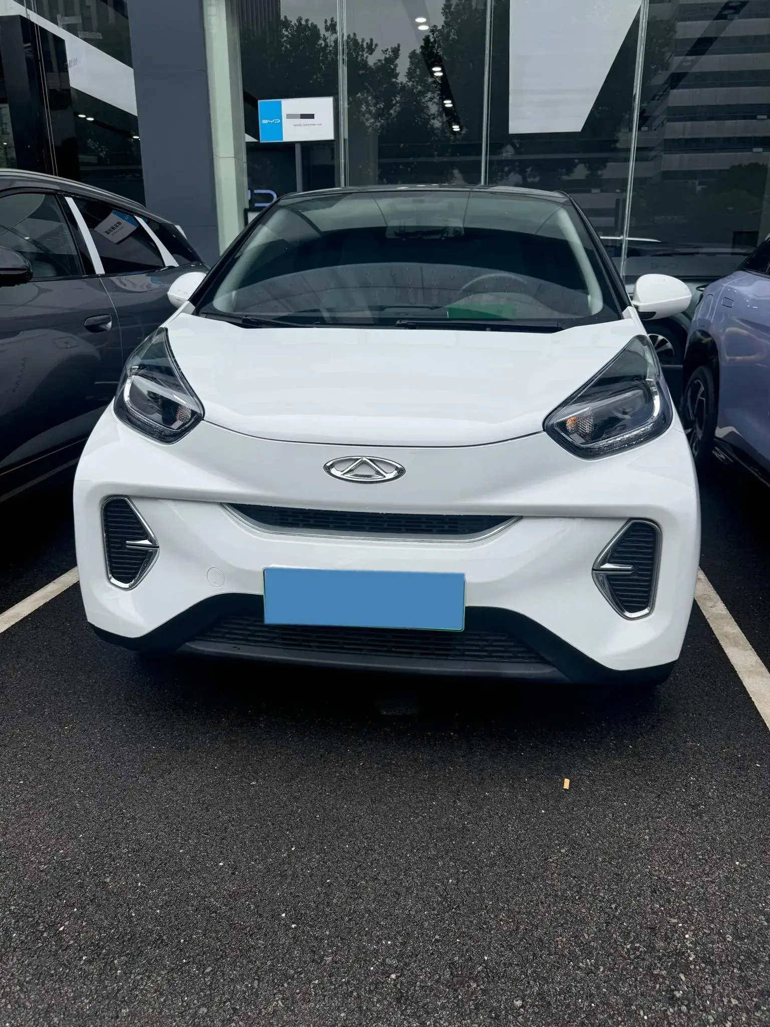 2022 CHERY LITTLE thumbnail 2