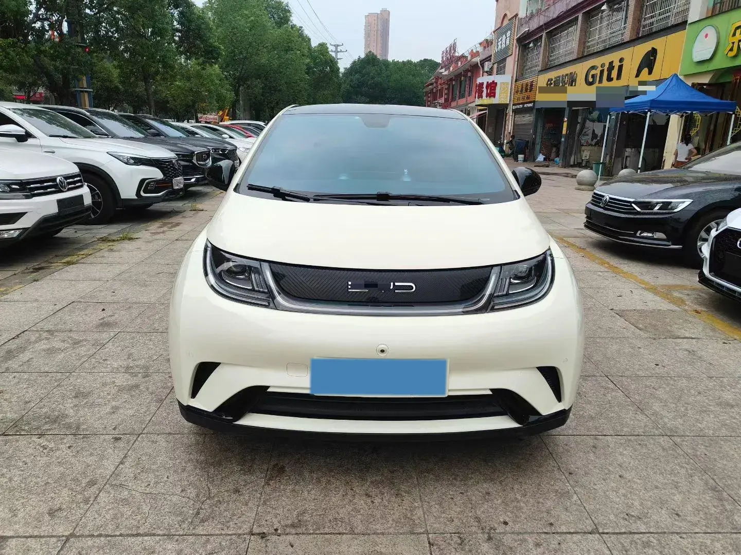 2023 BYD DOLPHIN thumbnail 2