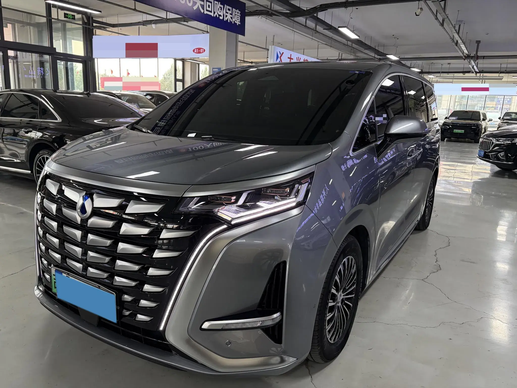 2022 DENZA D9 view 1