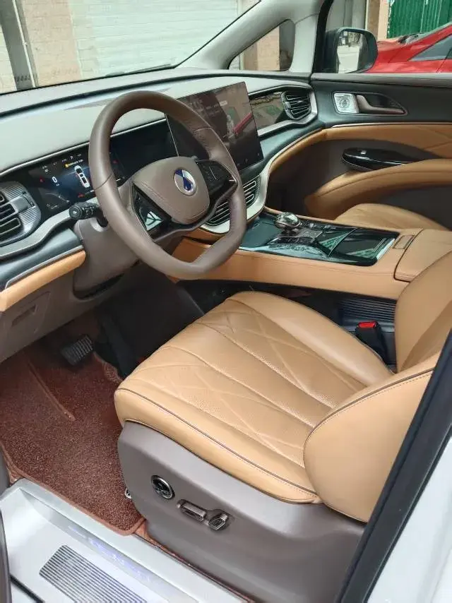 2022 DENZA D9 thumbnail 3