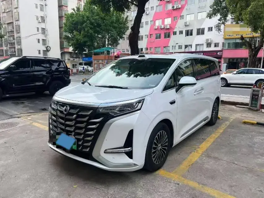 2022 DENZA D9 view 1