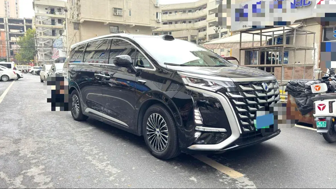 2025 DENZA D9 thumbnail 2