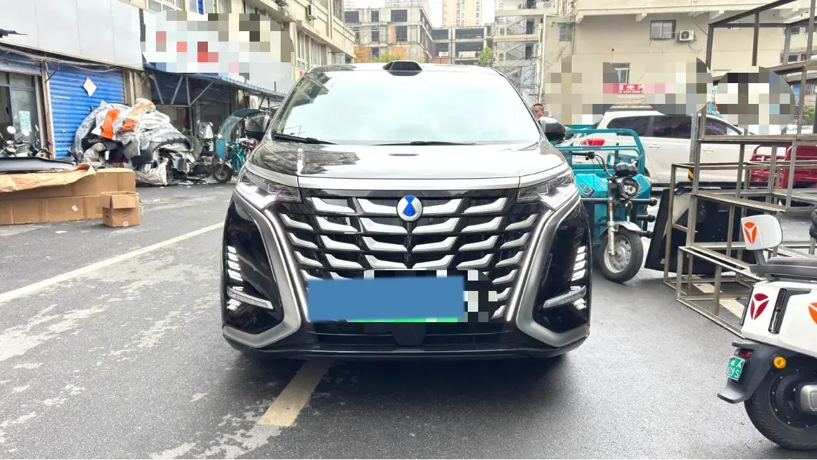 2025 DENZA D9 thumbnail 3