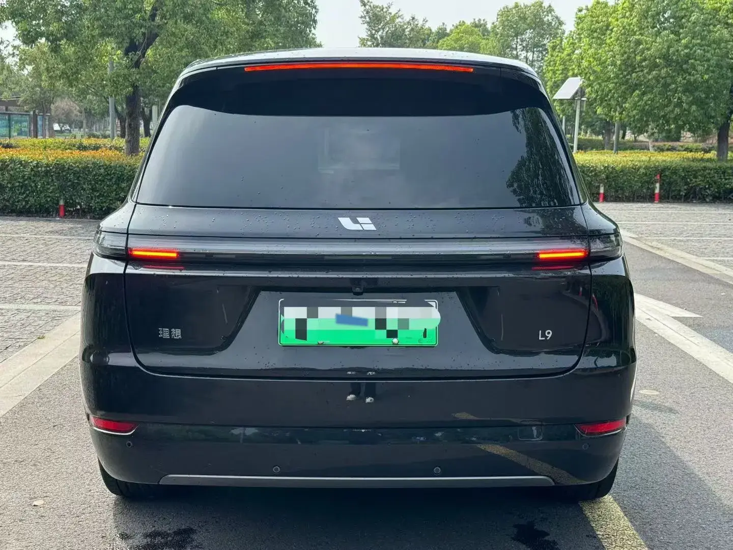 2022 LI L9 thumbnail 4