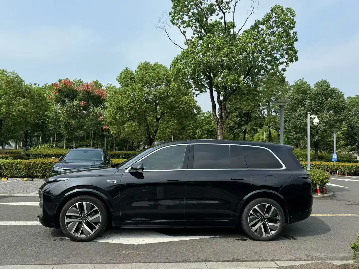 2022 LI L9 thumbnail 3