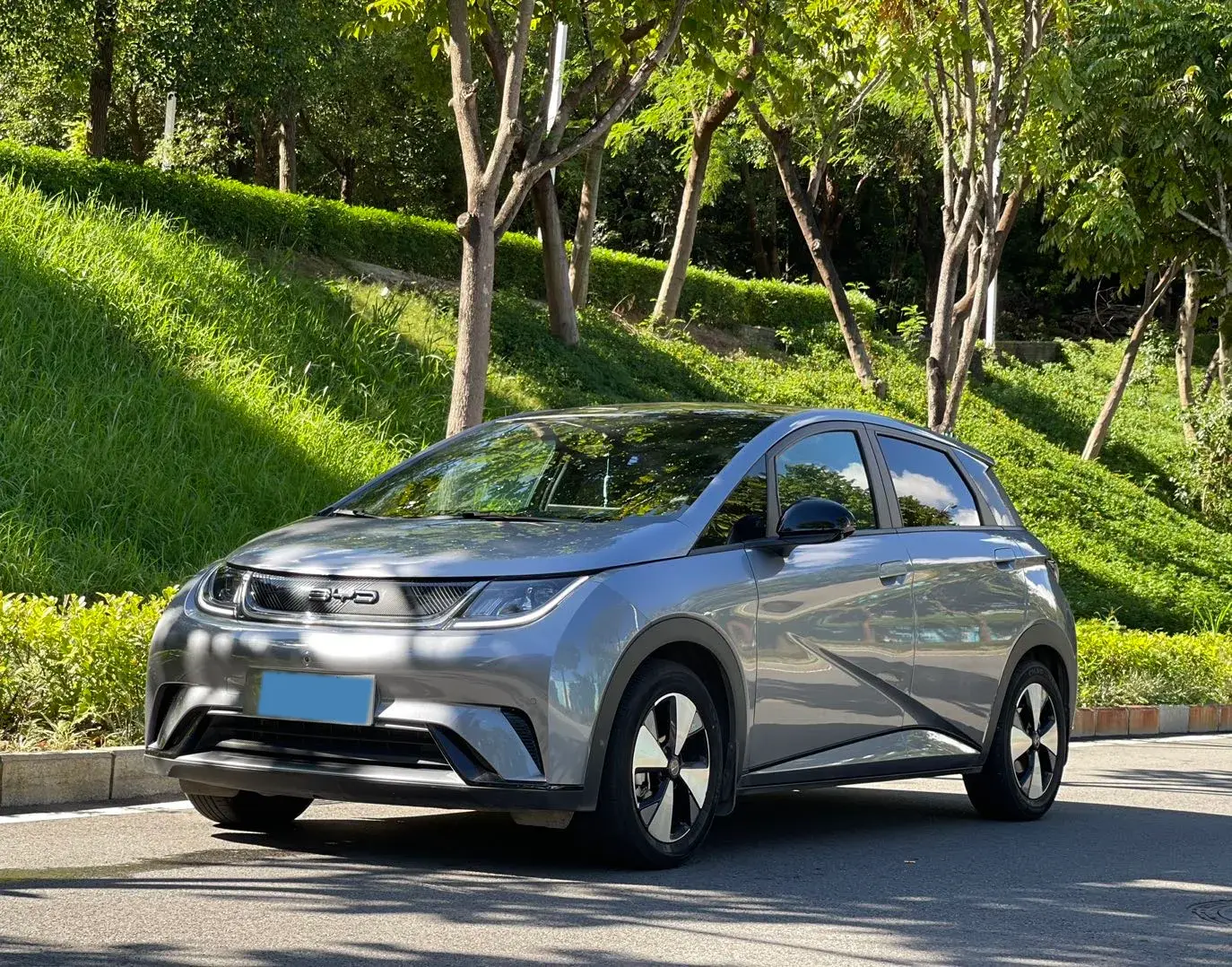 2023 BYD DOLPHIN view 1