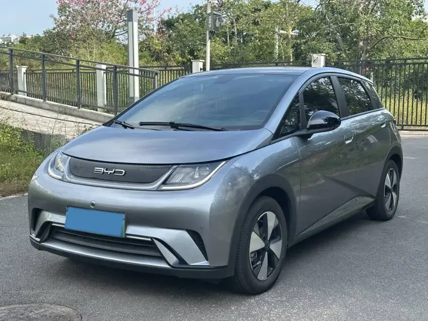 2023 BYD DOLPHIN view 1