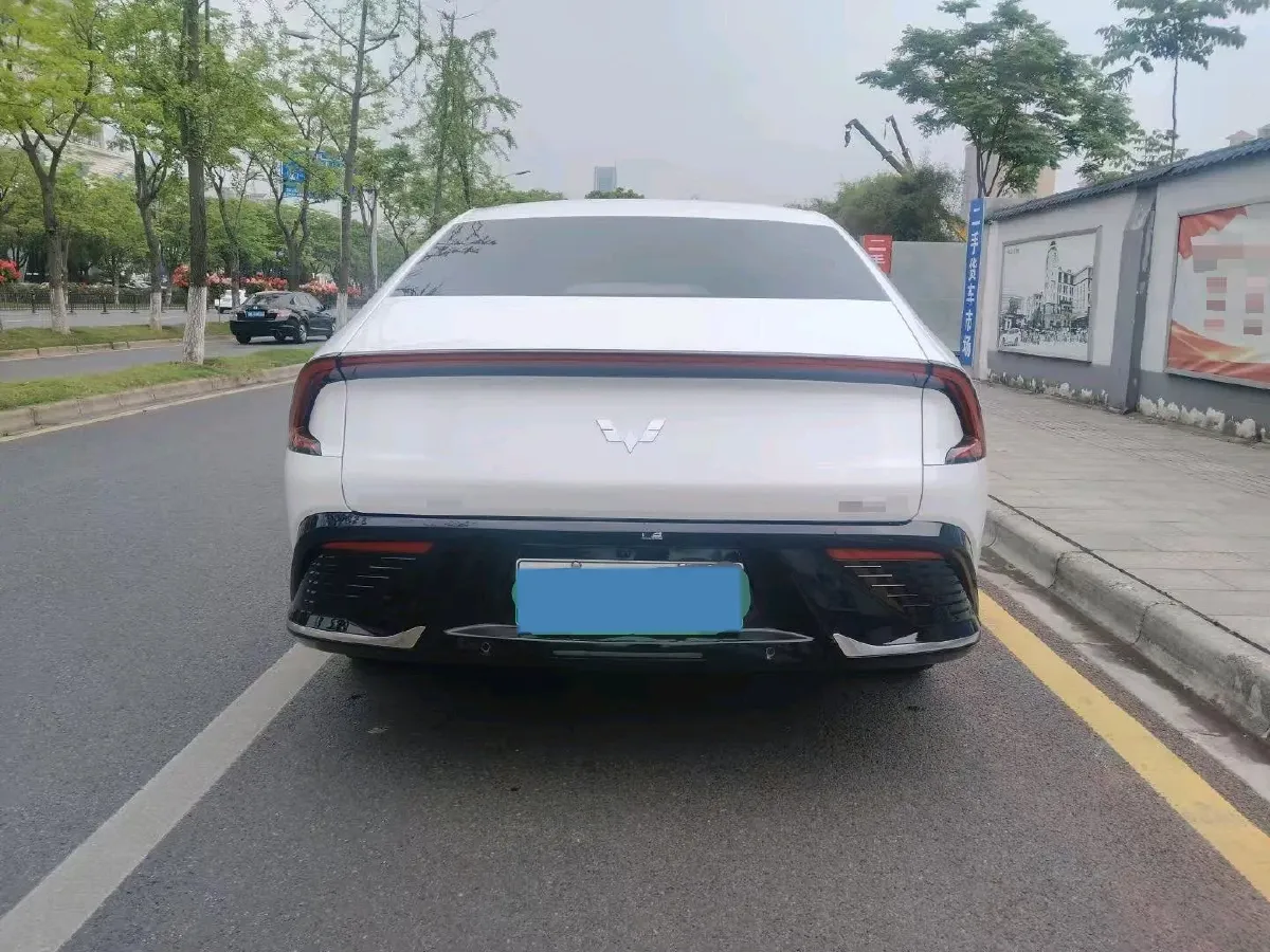 2024 WuLing E5 BEV 41.9KWH,autocango,china used car exporter,china ev exporter,chinese used car exporter,chinese used ev exporter