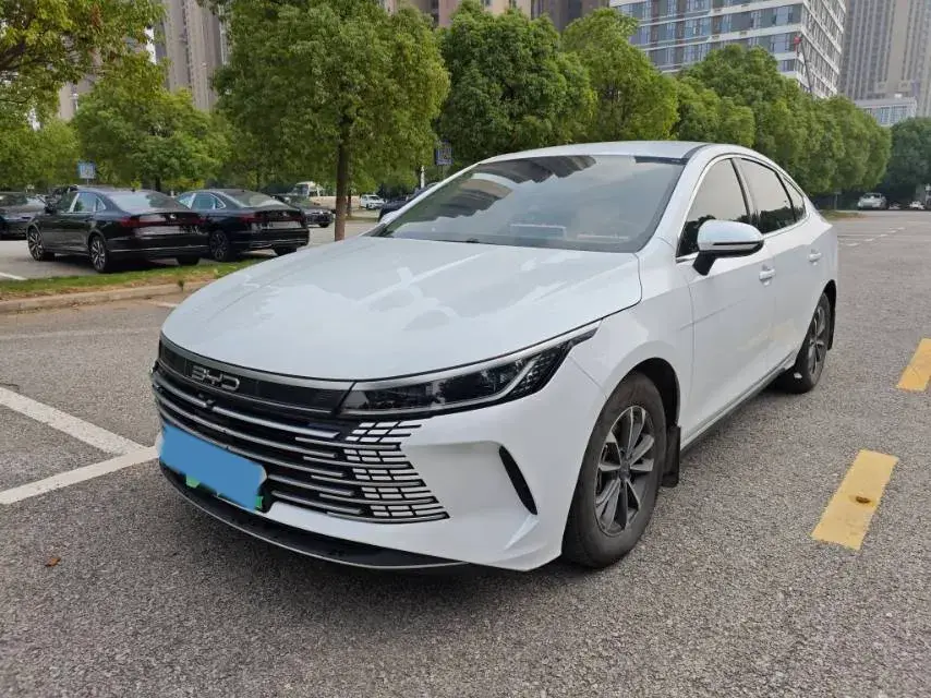 2024 BYD DESTROYER view 1