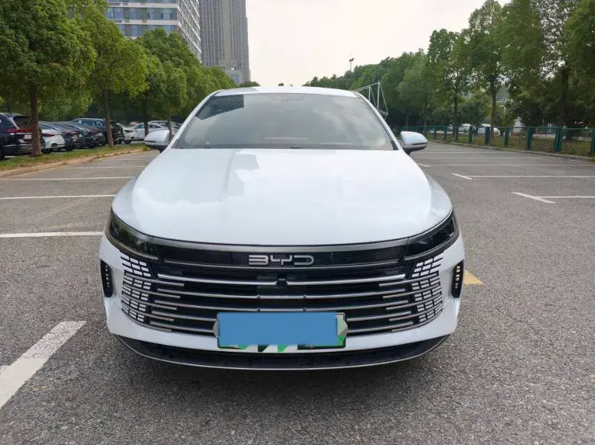 2024 BYD DESTROYER thumbnail 2