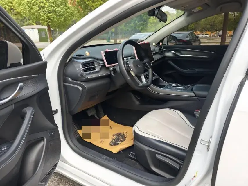 2024 BYD DESTROYER thumbnail 4